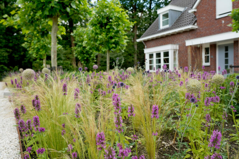 beplanting-landelijke-tuin