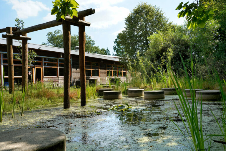 regenwater-duurzame-schoolplein